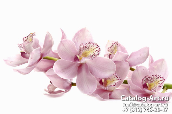 Натяжные потолки с фотопечатью - Розовые орхидеи 96